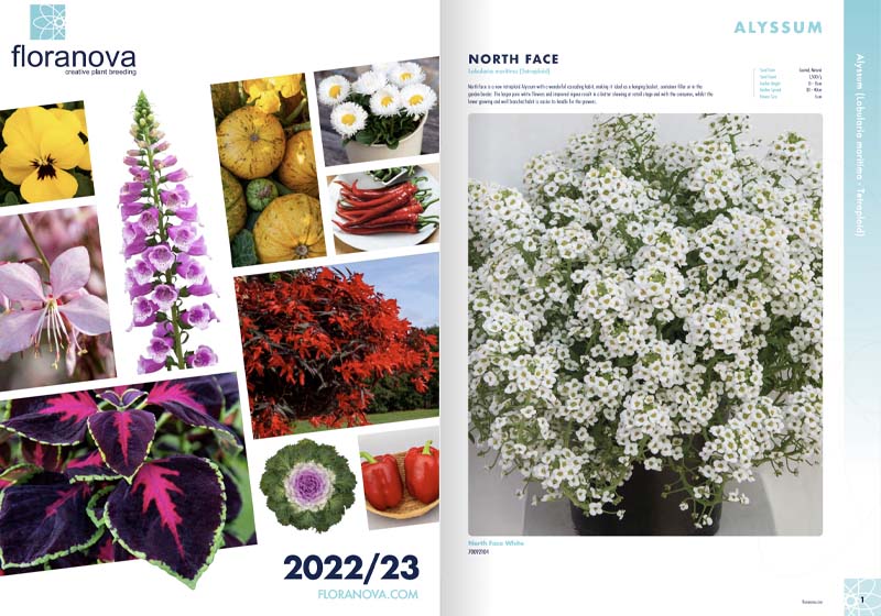 catalog de seminte floranova 2022 2023