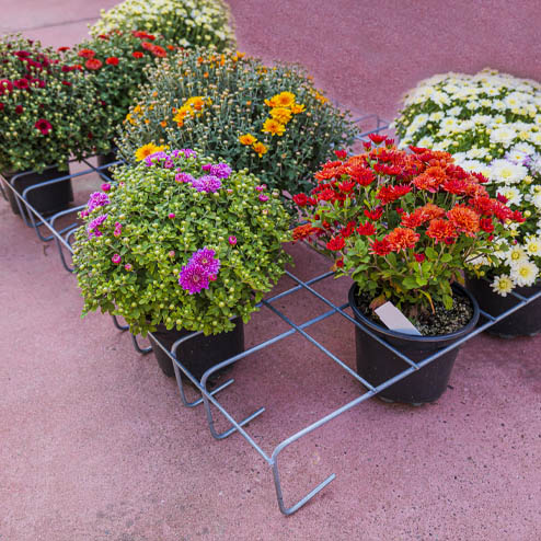 suporti ghivece floraland