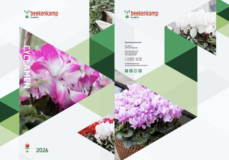 catalog-cyclamen-beekenkamp-2026 catalog cyclamen beekenkamp 2026
