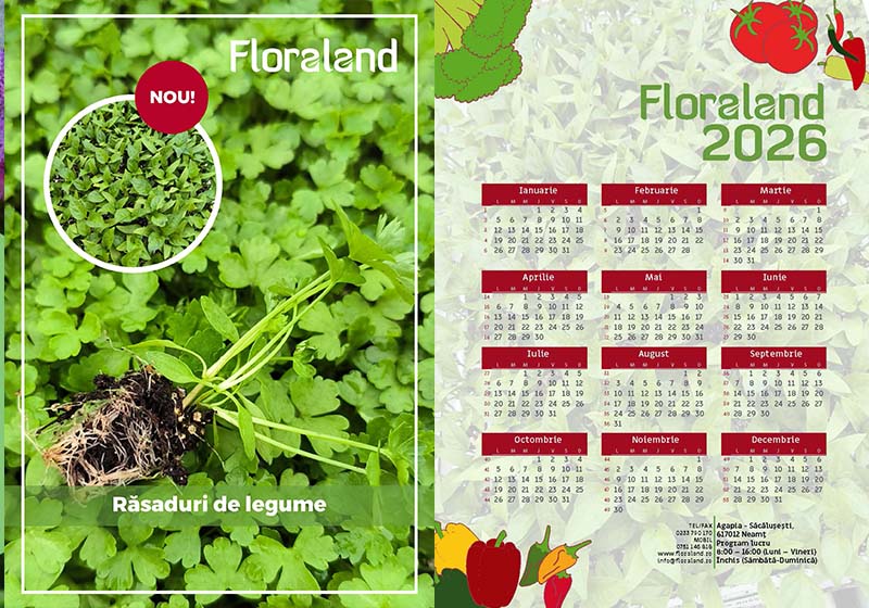 catalog-rasaduri-legume-coperta catalog rasaduri legume coperta