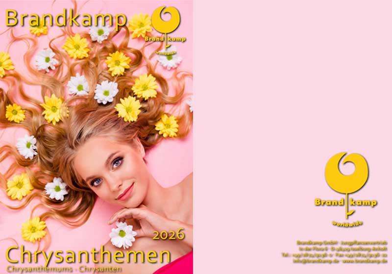 Catalog-Brandkamp-Crizanteme-2026 catalog brandkamp crizanteme 2026