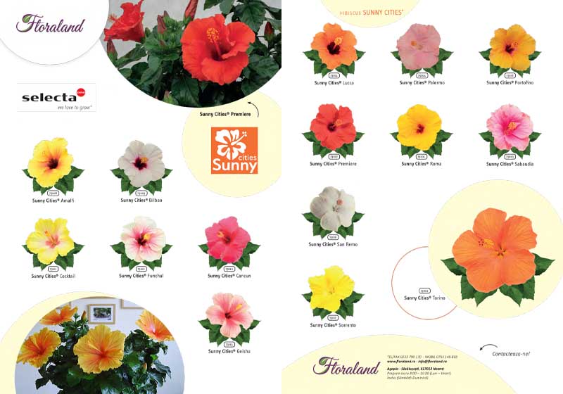 Catalog-Hibiscus-Selecta-Floraland-2026 catalog hibiscus selecta floraland 2026