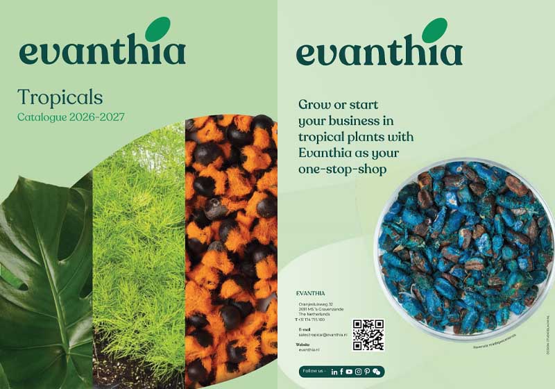 Catalog-evanthia-2025-2026 catalog evanthia 2025 2026
