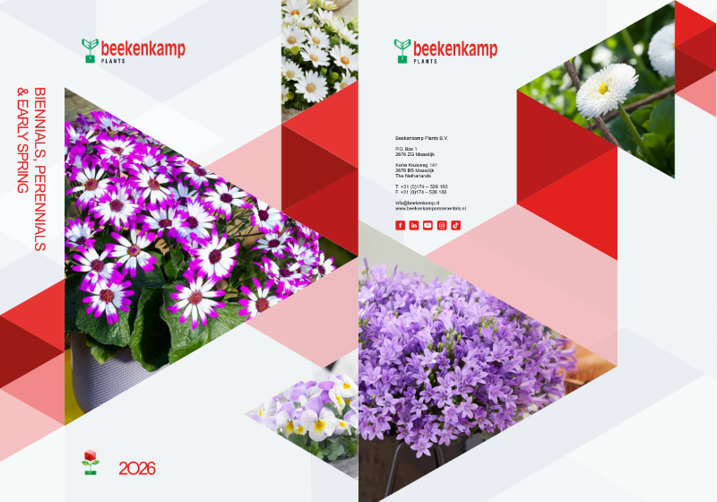 catalog-Bienale-beekenkamp-2026 catalog bienale beekenkamp 2026