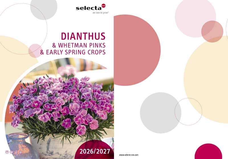 Catalog-Selecta-Dianthus-2026-Florland catalog selecta dianthus 2026 florland