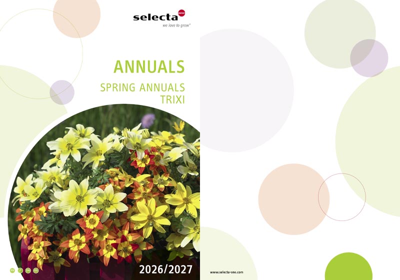 Catalog-trixi-anuale-2026-2027 catalog trixi anuale 2026 2027