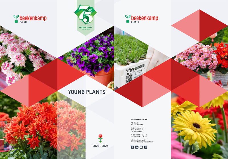 catalog-young-plants-beekenkamp-2026-2027 catalog young plants beekenkamp 2026 2027