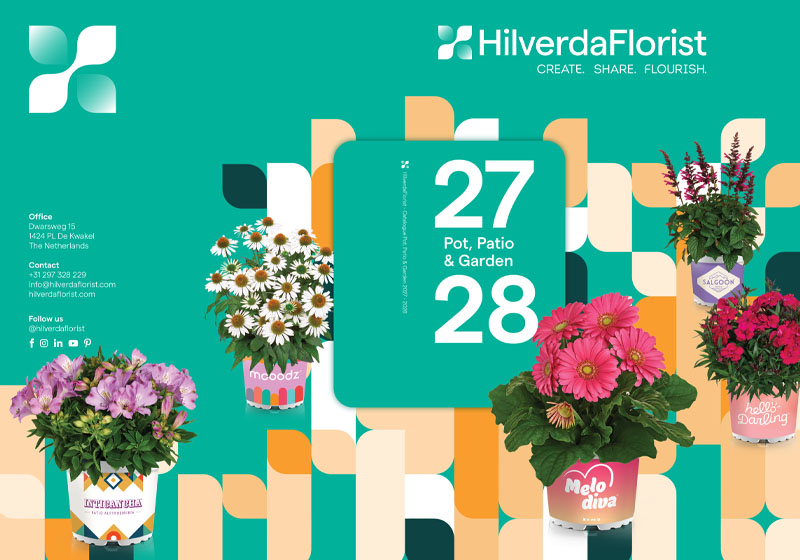 rasaduri-butasi-flori-taiate-Romania-Floraland-catalog-Hilverda-Florist-2026-2027 rasaduri butasi flori taiate romania floraland catalog hilverda florist 2026 2027