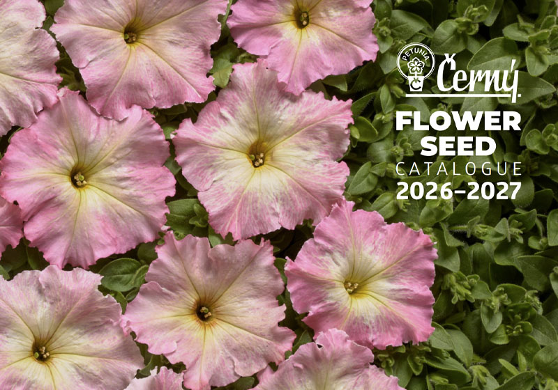 cerny flower seeds catalog 2026-2027 cerny flower seeds catalog 2026 2027